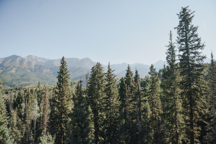 View More: https://melaniesheltonphoto.pass.us/julieandandrew Our Philosophy - To Grow